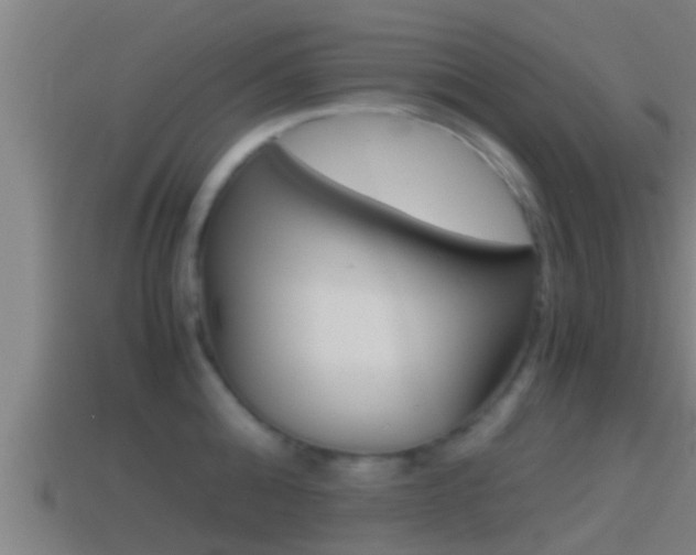 X0000114410808200910161030