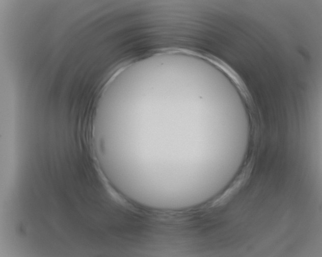 X0000114410809200910161030