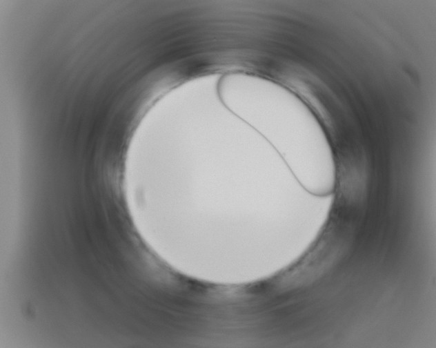 X0000114410810200910161030