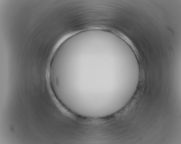 X0000114410811200910161030