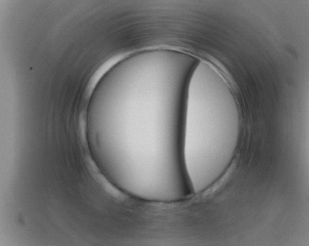 X0000114410812200910161030