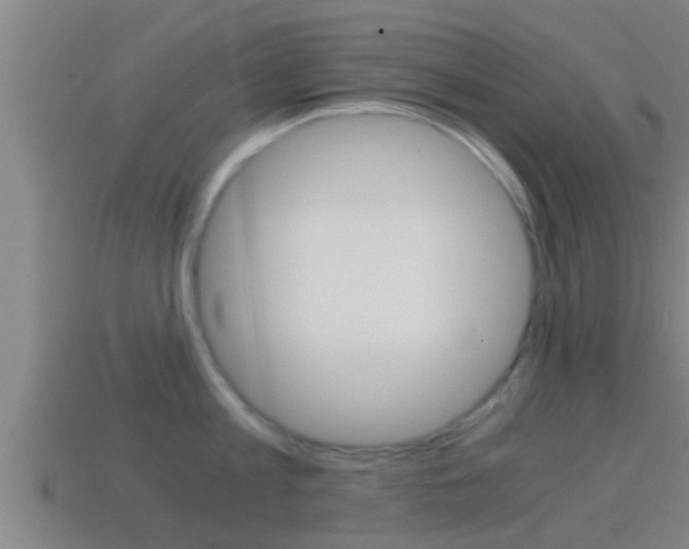 X0000114410813200910161030