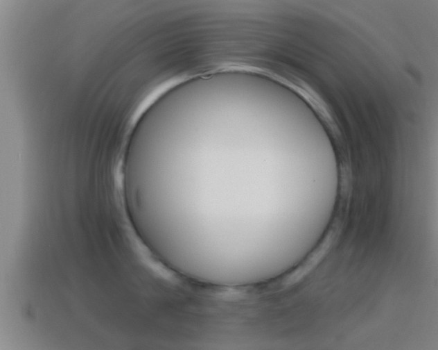 X0000114410814200910161030