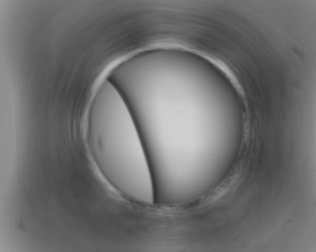 X0000114410815200910161030