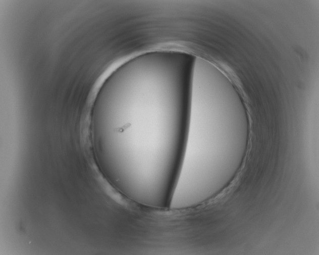X0000114410816200910161030