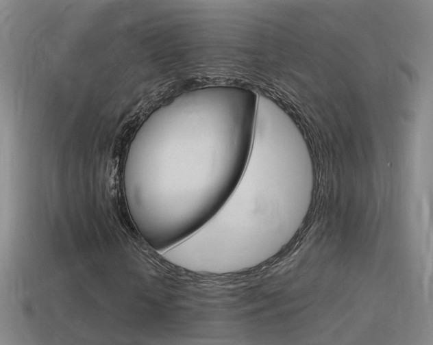 X0000114410818200910161029