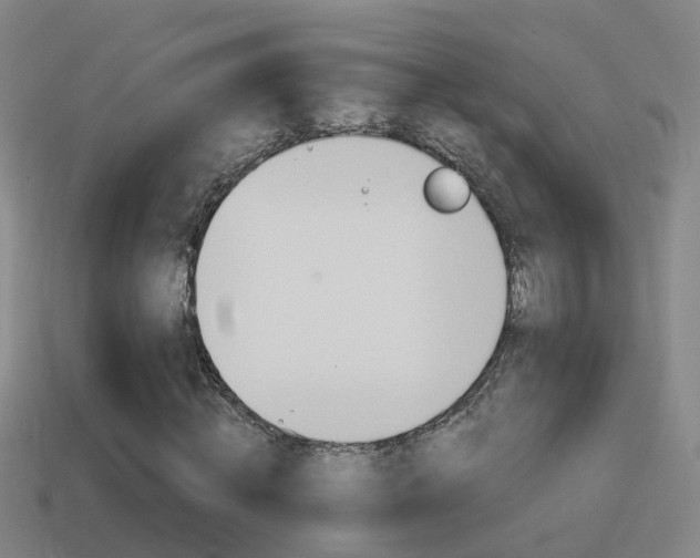X0000114410820200910161029