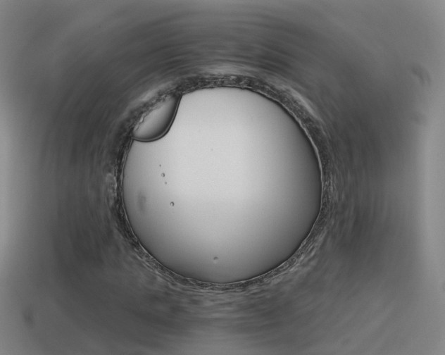 X0000114410821200910161029