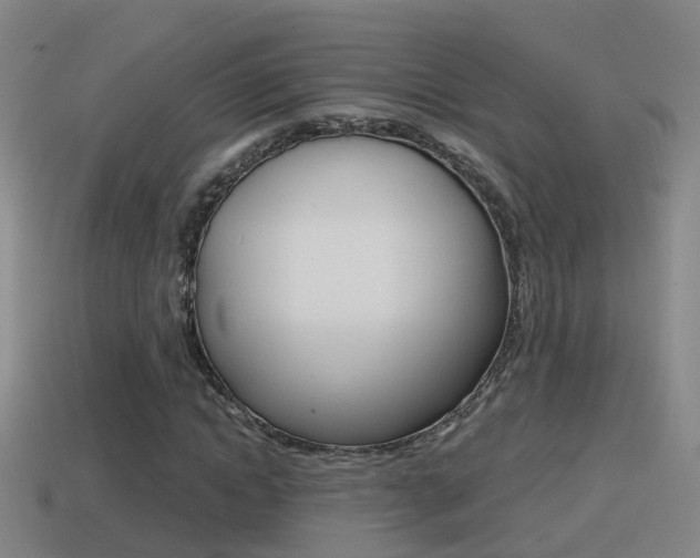 X0000114410822200910161030