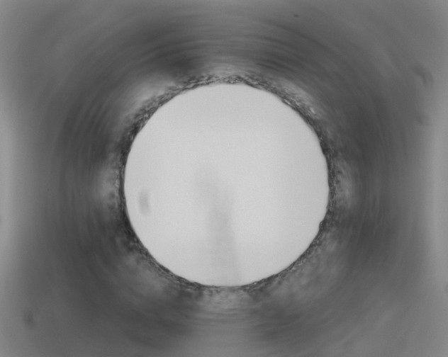 X0000114410824200910161030