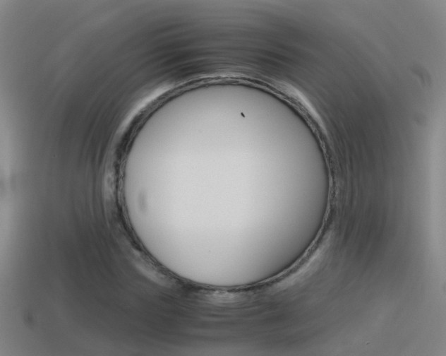 X0000114410827200910161030