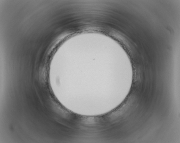 X0000114410828200910161030