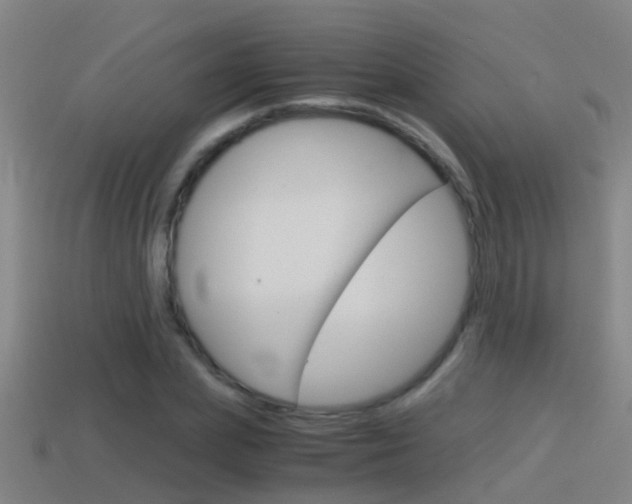 X0000114410831200910161030