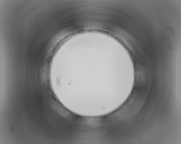 X0000114410832200910161030