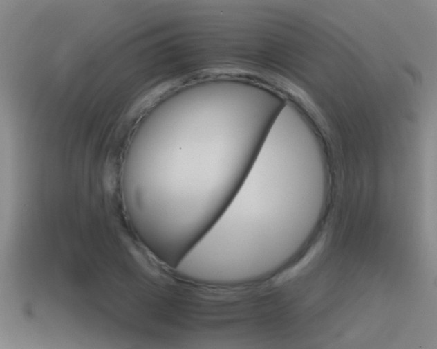 X0000114410833200910161030