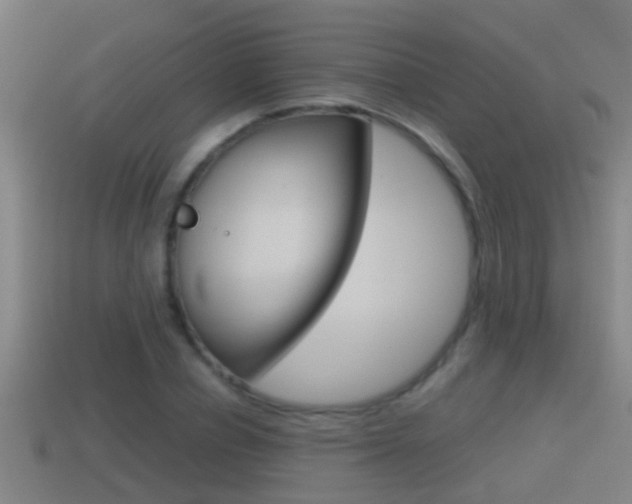 X0000114410834200910161030