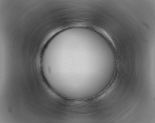 X0000114410835200910161030