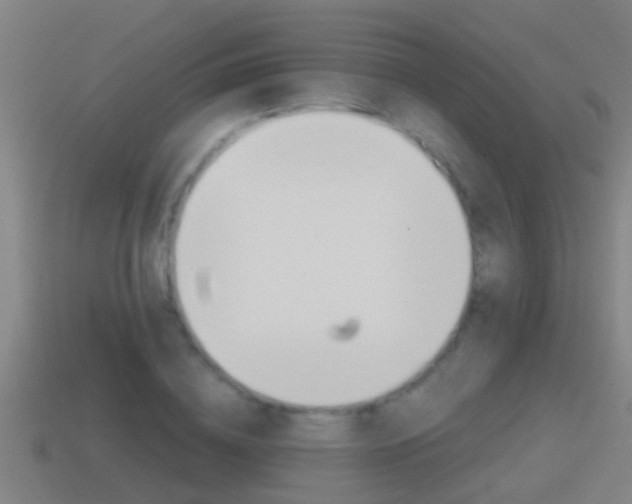 X0000114410836200910161030