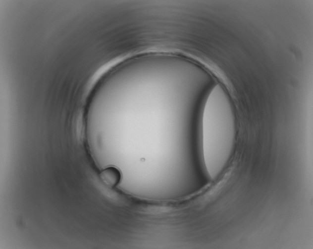 X0000114410838200910161030