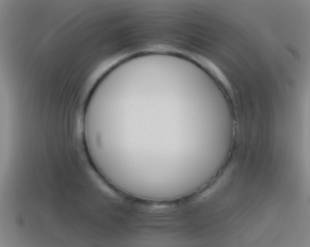 X0000114410839200910161030