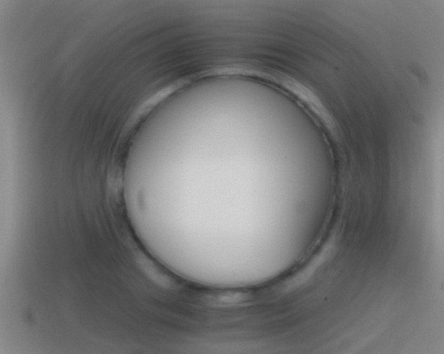 X0000114410841200910161030