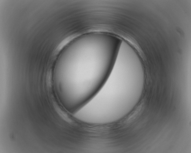 X0000114410842200910161030