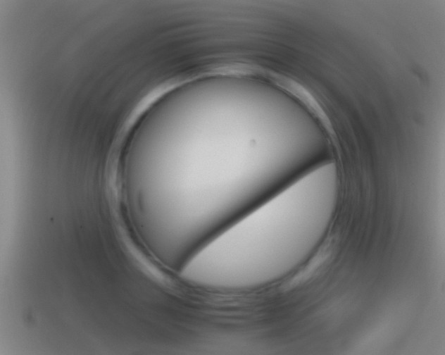 X0000114410843200910161030