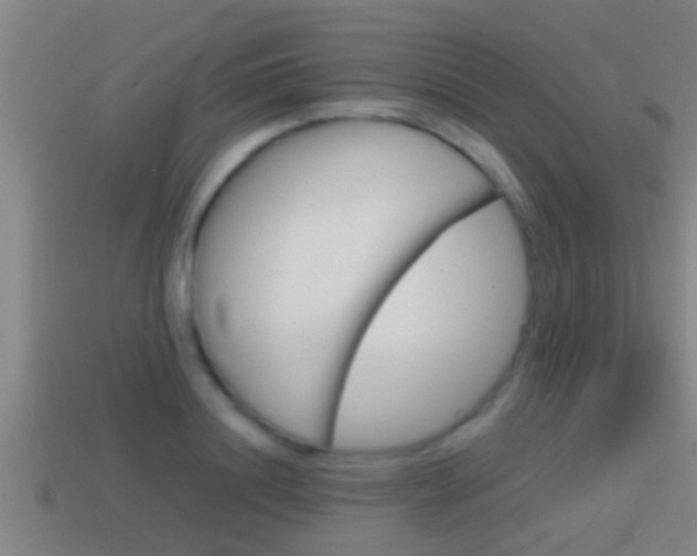X0000114410844200910161030