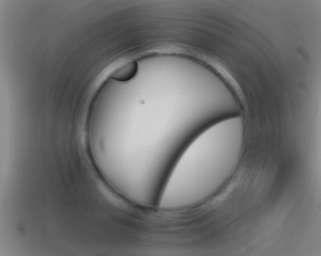 X0000114410845200910161030