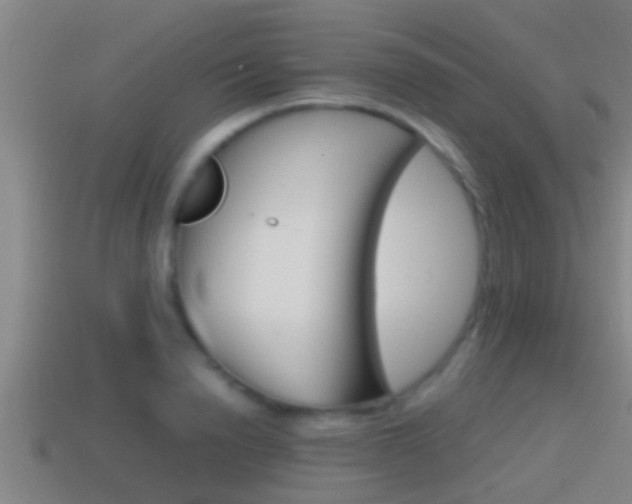 X0000114410846200910161030