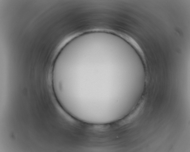 X0000114410847200910161030
