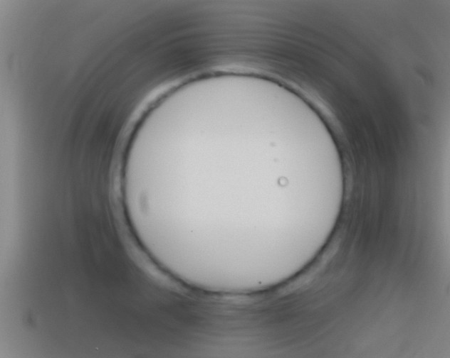 X0000114410848200910161030