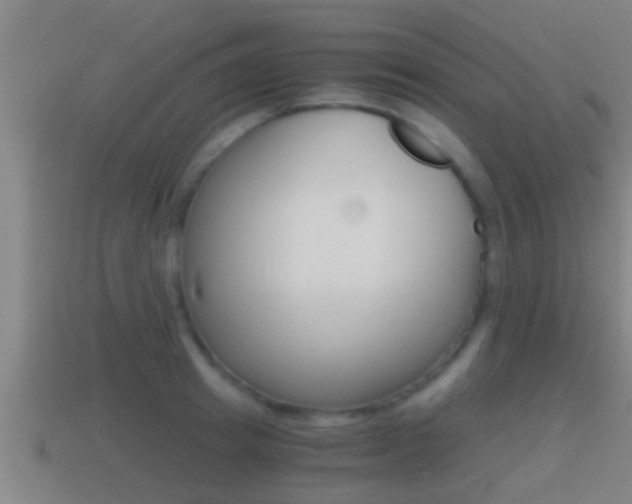 X0000114410849200910161030