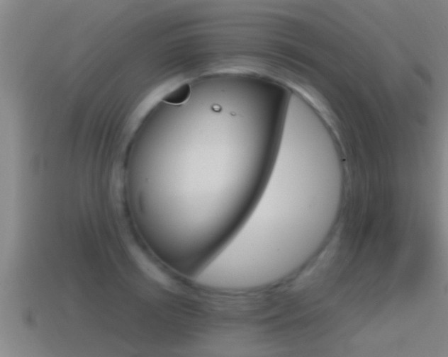 X0000114410850200910161030