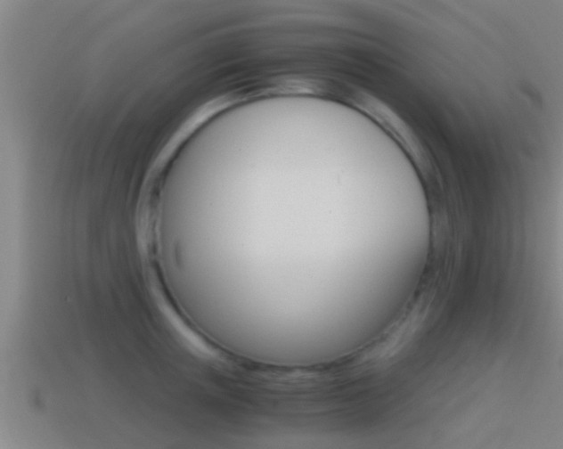 X0000114410851200910161030