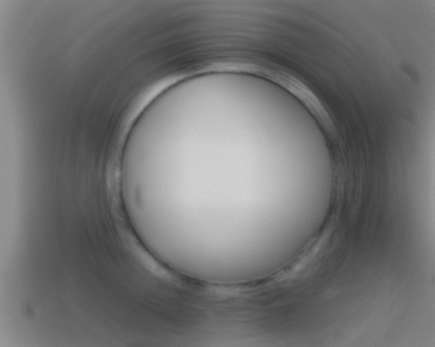 X0000114410852200910161030