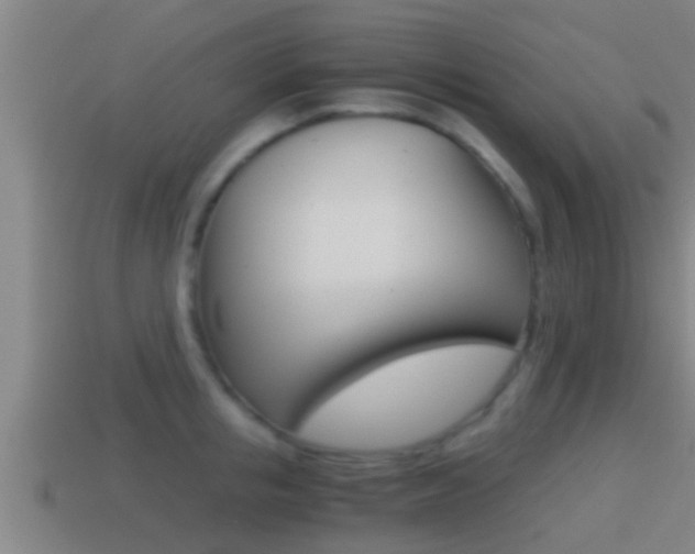 X0000114410853200910161030