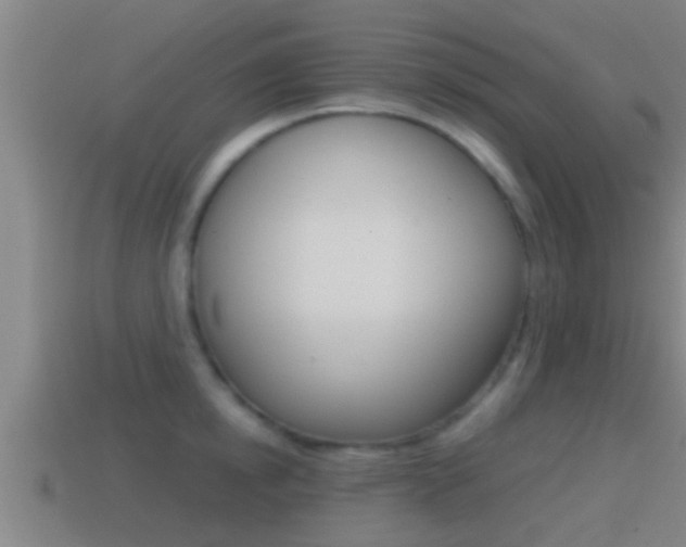 X0000114410854200910161030