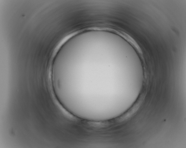 X0000114410855200910161030