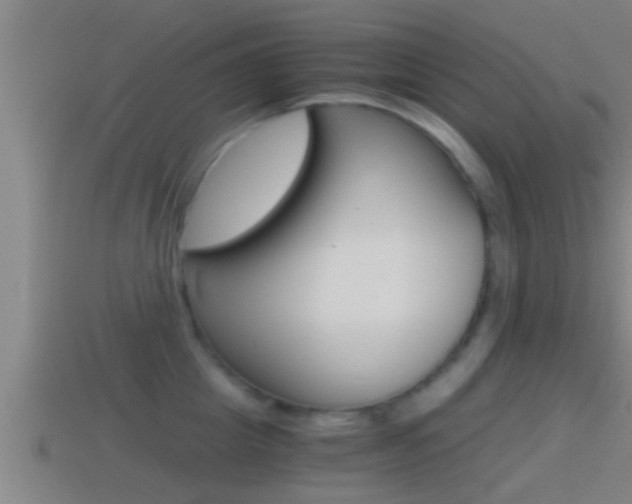 X0000114410857200910161030
