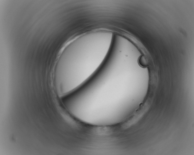 X0000114410858200910161030