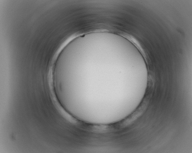 X0000114410859200910161030
