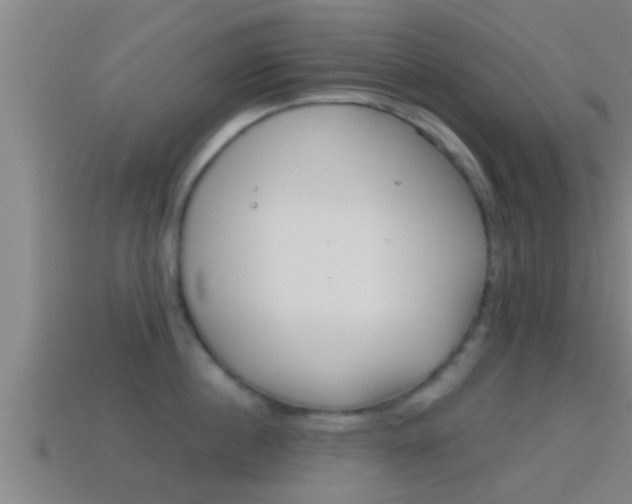 X0000114410860200910161030