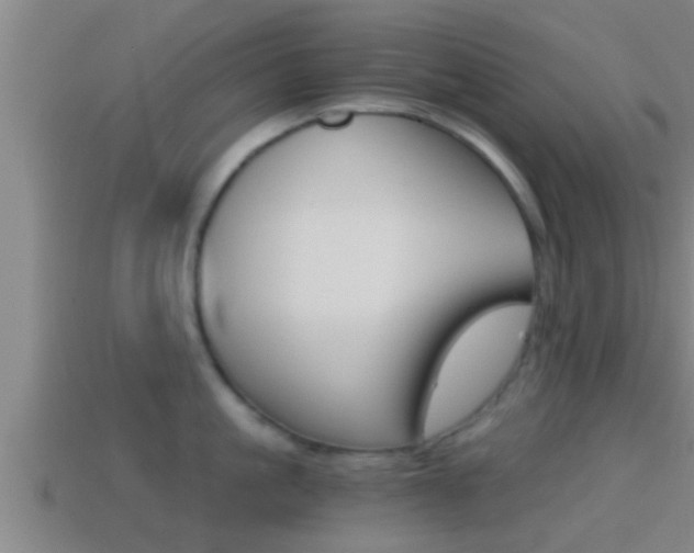 X0000114410861200910161030