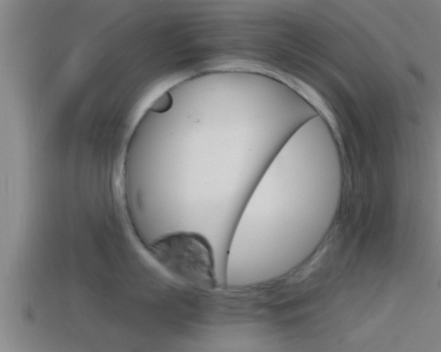 X0000114410863200910161030