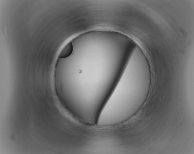 X0000114410864200910161030