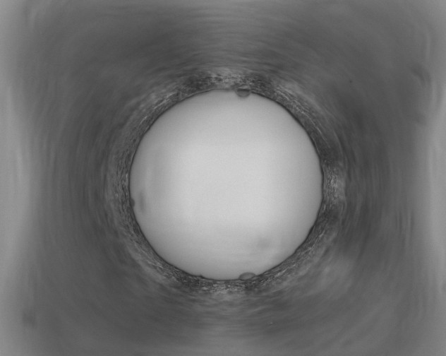 X0000114410865200910161029