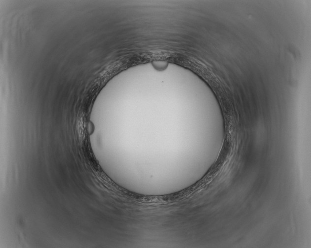 X0000114410866200910161029