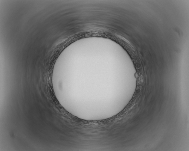X0000114410869200910161029