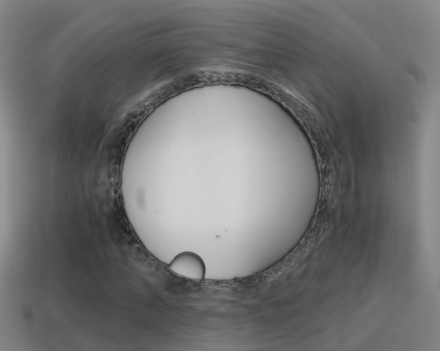 X0000114410870200910161029